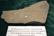 Минералы