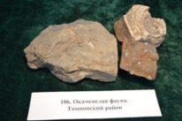 Минералы